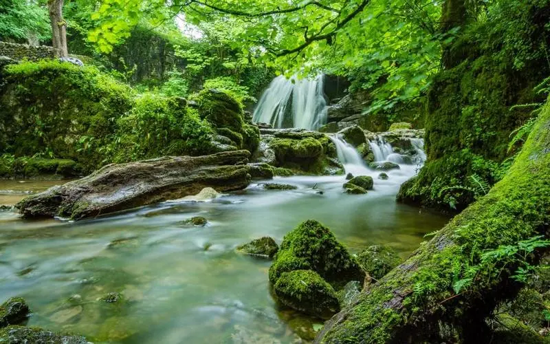 高端智能化独特